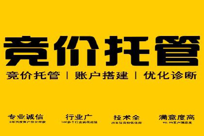 SEM搜索引擎优化实战案例分享，助力企业增长